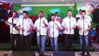 Gaiteros del Pozón - Nostalgia Decembrina