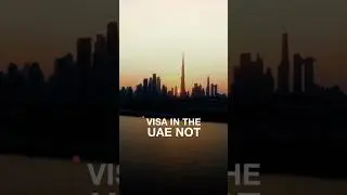 Need help with visas or residency?