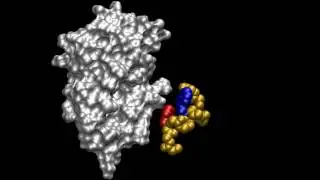 Atomistic simulation of a complete protein-peptide binding pathway with rigorous kinetics