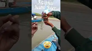 Found real Gems in Chilika Lake #puri #jaggannath #chilikalake