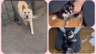 260118 アズガブAzGab 今日は誰もいなかったThere was no one there today