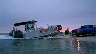 Западные переработчики морских ушек