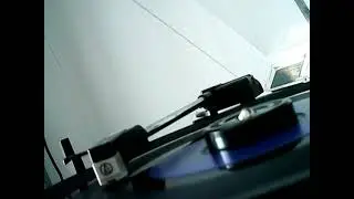 THE ROYAL SKA-RARE SKA FROM CARLOS MALCOLM ON AMY RECORDS