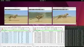 DEMO3 TSN to TTE cheetah livestream