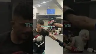 MFN Fighters: What Matters Most? Fight, Training, Diet!