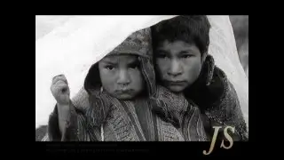 PALOMA BLANCA - (Wayno tradicional Ayacucho) - LOS CHOLOS