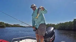 Saltwater Fishing Day 2 - Snook & Redfish - Siesta Key, FL