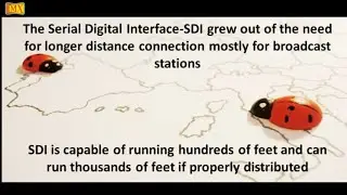What is SDI cable ?