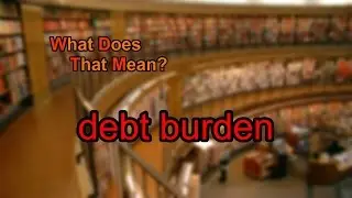What does debt burden mean?