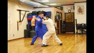 Master Chen Zhonghua 