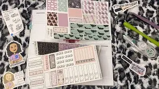 PWM || ft BEPDShop