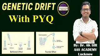 Genetic Drift, Bottleneck Effect & Founder Effect Explained | Natural Selection | NEET/CSIR NET