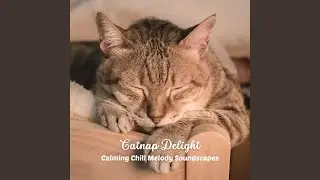 Melodic Kitty Dreams
