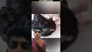 ALERT This Is Extinct Animals 2024 FSPT-269 😱😱|FactsMine | #shorts #factsero #viral