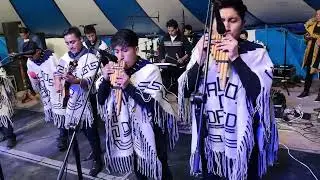 Grupo salmos de David.                                          Cuello loma 2026