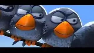 Vogel Probleme