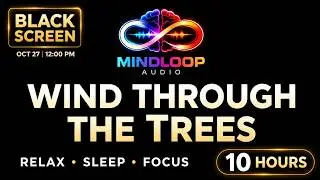 Wind Through the Trees | Gentle Forest Sounds for Sleep, Relaxation, Focus (10 Hours) Black Screen