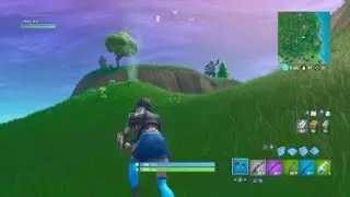 Fortnite Rock Family update. Junior finds a Rock puppy.