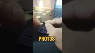 Reed switch