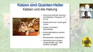 Trailer Conny Keule - Katzen sind Quantenheiler