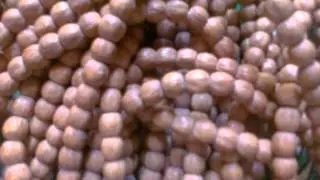 اللالـــــوبة....ود العجــيل