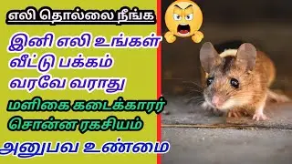 எலி தொல்லை நீங்க/eliyai virattuvathu eppadi/eli thollai neenga tamil/eli varamal iruka enna seivathu