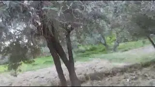الطبيعة الجميلة
