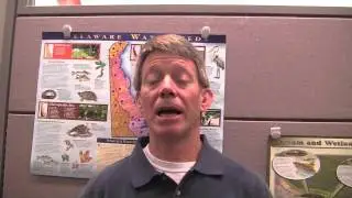 Christina Basin Pollution Control Strategy
