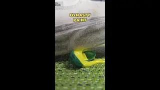 Paintballs by Quality!