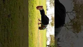 The progress of slacklining #slackline #film #progress #skills