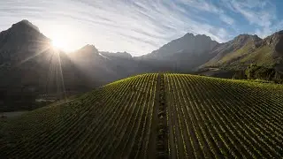 The 8 Elements of Oldenburg Vineyards | What Makes Our Terroir Unique