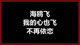 方季惟 - 《海鸥飞呀飞》 [歌词]