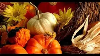 SCORPIO NOVEMBER 2022 MID MONTH