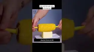 Smart Living Tips