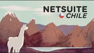 NetSuite Chile: &iquest;Qu&eacute; es y c&oacute;mo funciona?