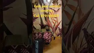 #pestcontrol #bestpestcontrol call 8791165097
