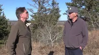 Managing wild pigs in Manitoba - Part 1 | Manitoba Cooperator