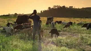Powering Agriculture with Renewable Energy &ndash; Ariya Capital