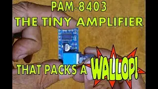 PAM-8403, The Tiny Amplifier That Packs a Wallop!