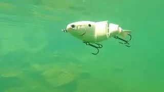 FishLab Bio-Shad Crankbait - How It Works