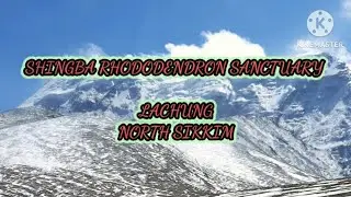 THE SHINGBA RHODODENDRON SANCTUARY , LACHUNG - THE PRIDE OF NORTH SIKKIM@ Rejuvinator73