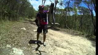 Snake Bike