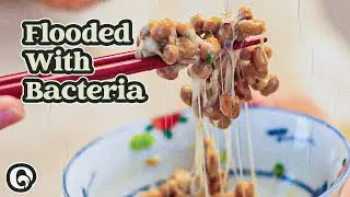 You Have To Try These Fermented Superfoods
