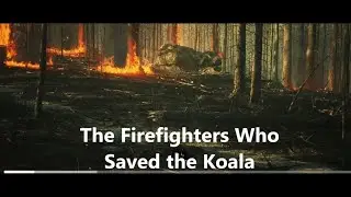 The Firefighters Who Saved the Koala