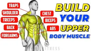 Upper Body Workout At Home No Equipment