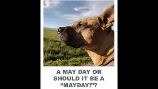 May Day! Or should it be 
