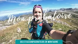Le probatoire du dipl&ocirc;me d'&eacute;tat d'AMM : mon r&eacute;cit et mes conseils !