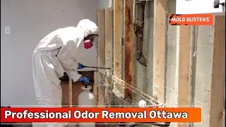 Odour Removal Ottawa - Mold Busters