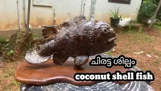 Coconut she&rsquo;ll fish