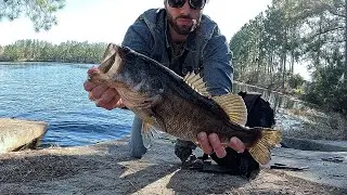 Bass Fishing A Crystal Clear Pond